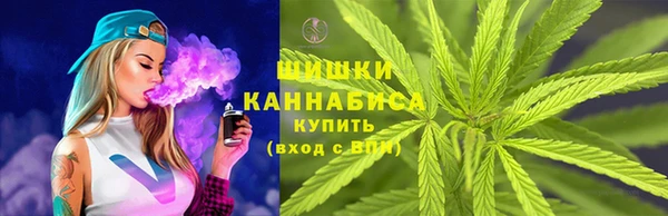 молекула духа Костерёво