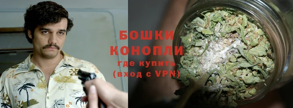 ГАЛЛЮЦИНОГЕННЫЕ ГРИБЫ Краснотурьинск