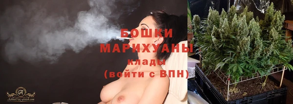 шишки Коряжма