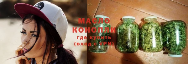 шишки Коряжма