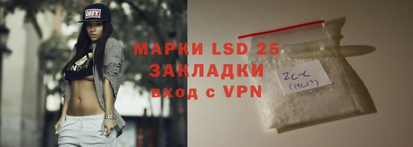 шишки Коряжма
