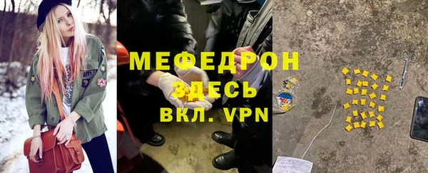 шишки Коряжма